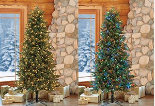 Christmas Trees