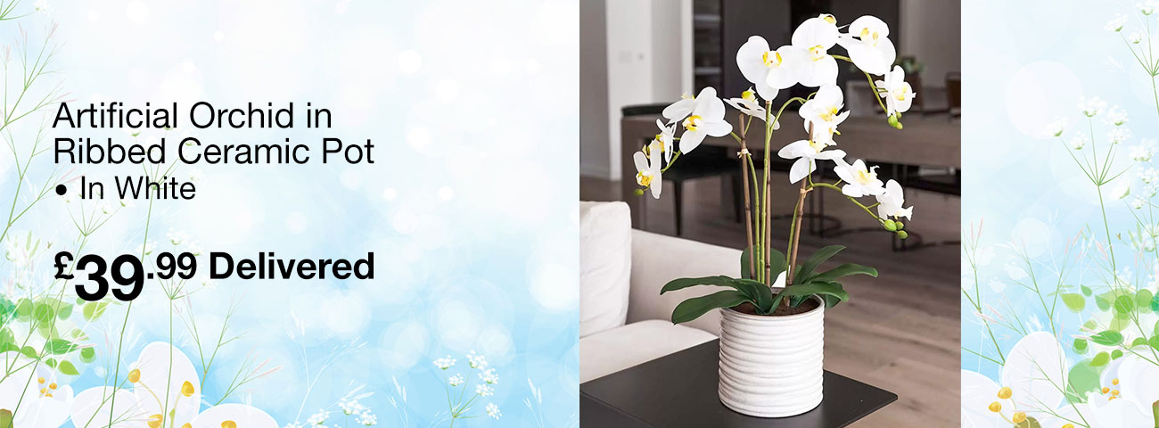 orchid
