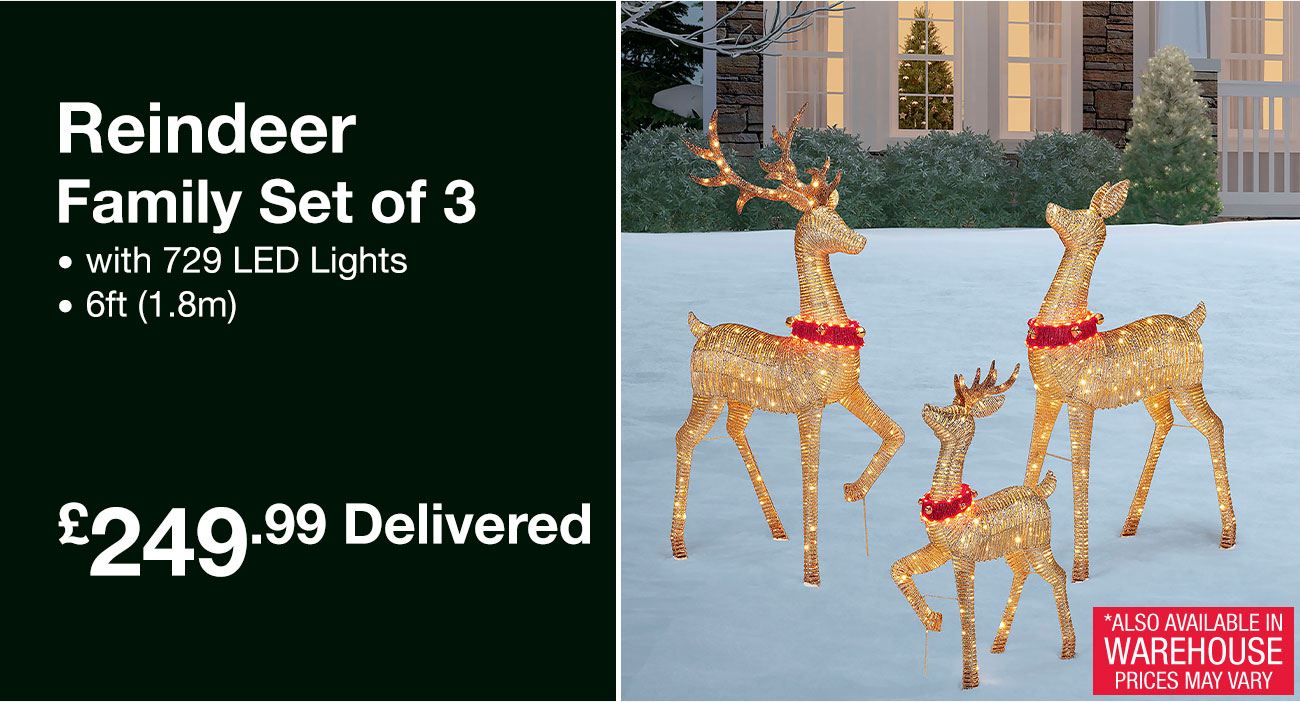 Reindeer Family Set of 3 with 729 LED Lights