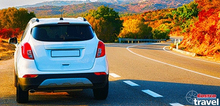 Autumn Car Hire