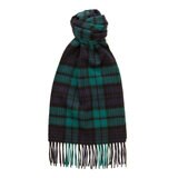 Glen Isla Patterned Cashmere Scarf, Black Watch