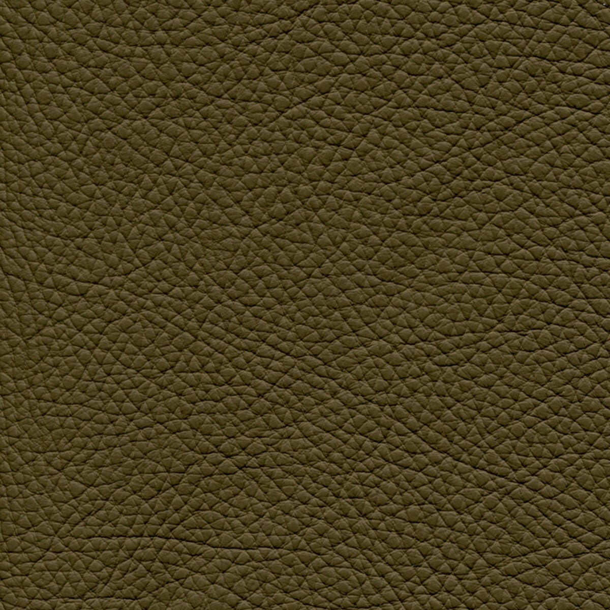 Nicoletti Taupe Leather Sample Swatch Nicoletti Taupe Leather Sample Swatch