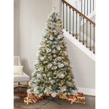 Lifestyle image tree in white lighting