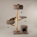 Cats Playing on Taupe Cat Tree Cats Playing on Taupe Cat Tree