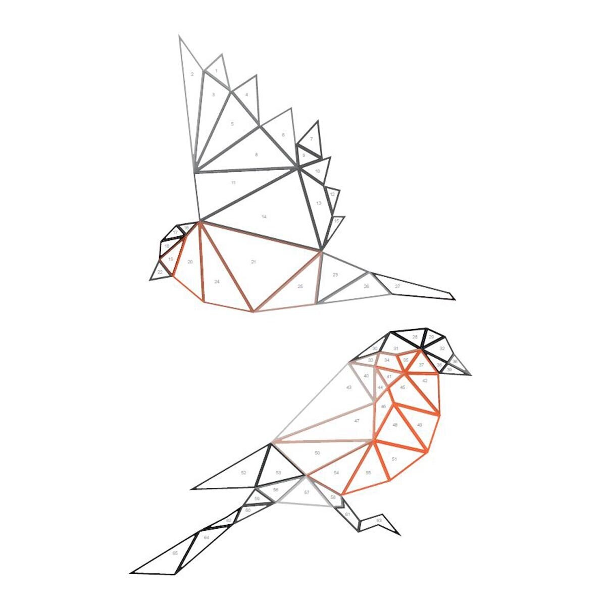 Birds outline