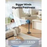 Lifestyle image of fan in a living room