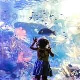 Go City San Diego 5-choice Explorer Pass, Child