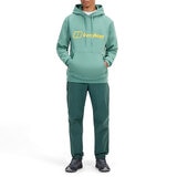 Berghaus Men's Logo Hoody in Green