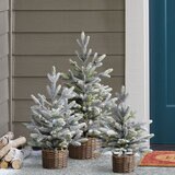 Buy 3pk Flocked Trees Lifestyle Outside Image at Costco.co.uk