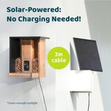 Birdfy Bamboo Bird Feeder with Solar Panel, HD Camera & Lifetime AI Feature Access