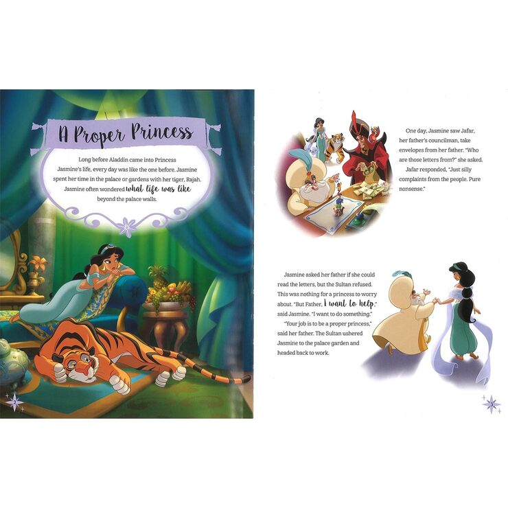 Licensed Shaped Adventure Box: Disney Princess Licensed Shaped Adventure Box: Disney Princess