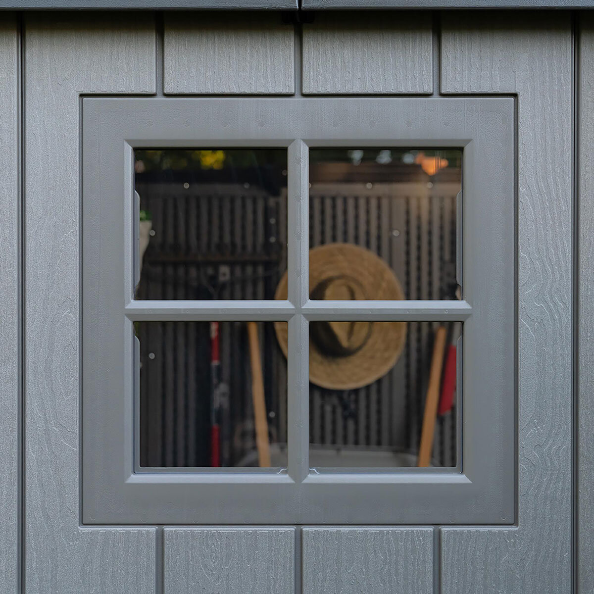 Window