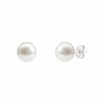 8.5-9mm Akoya White Pearl Earrings, 14ct White Gold