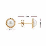 6.5-7mm Cultured Freshwater White Pearl Earrings, 14ct Yellow Gold