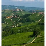 Tenuta Cucco Barolo del Comune di Serralunga d'Alba 2019, 75cl