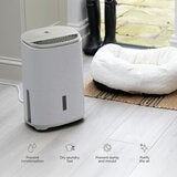 Lifestyle image of dehumidifer and features Lifestyle image of dehumidifer and features