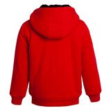 Character Kids Plush Hoodie (3-7 Years)