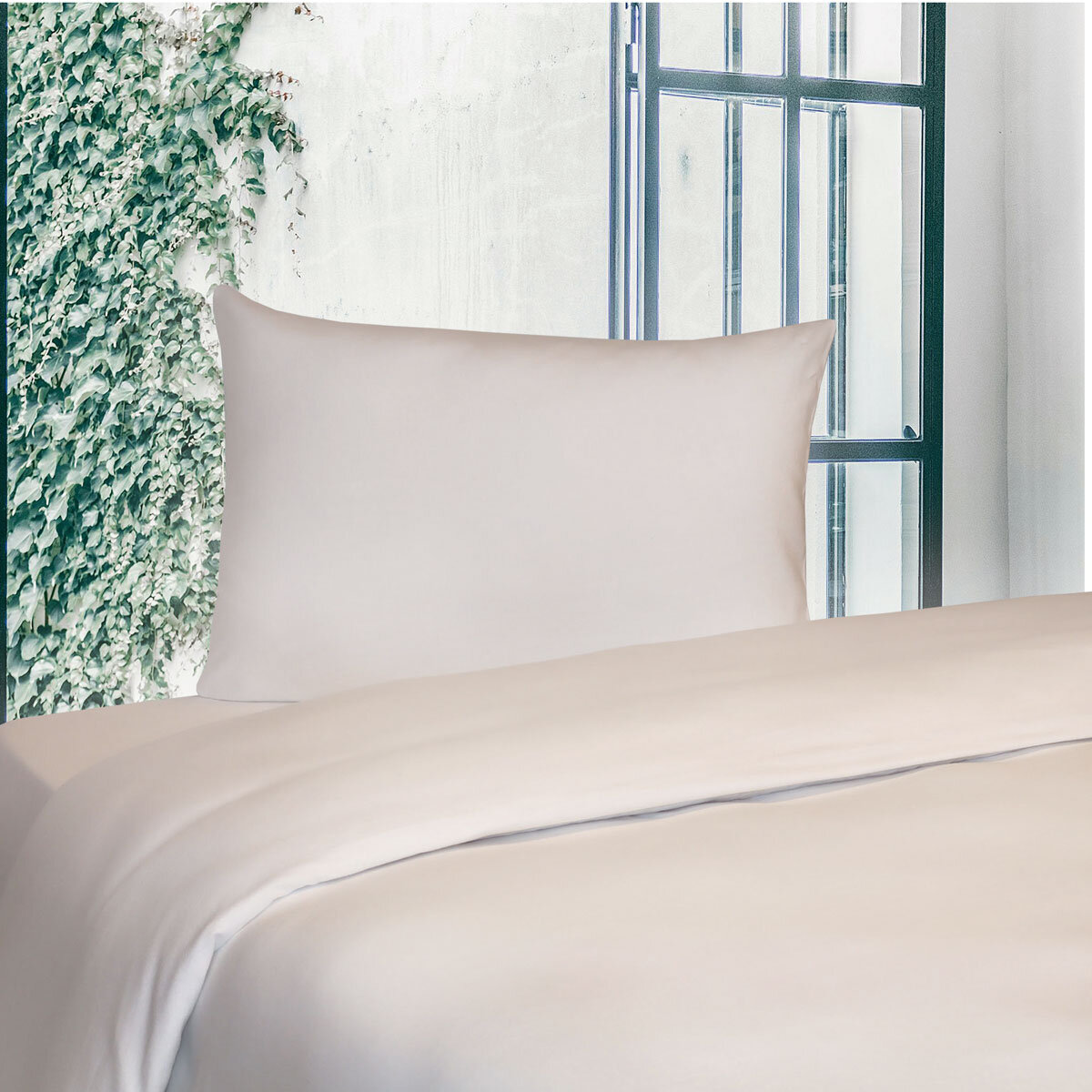 Portuguese Flannel Cotton 3 Piece Single Duvet Set, White