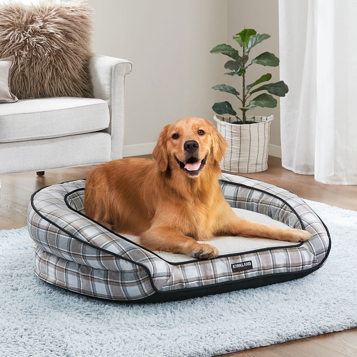 Time Is Running Out! Think About These 10 Ways To Change Your bed for dog