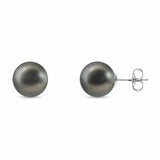 9-9.5mm Cultured Tahitian Pearl Stud Earrings, 14ct White Gold