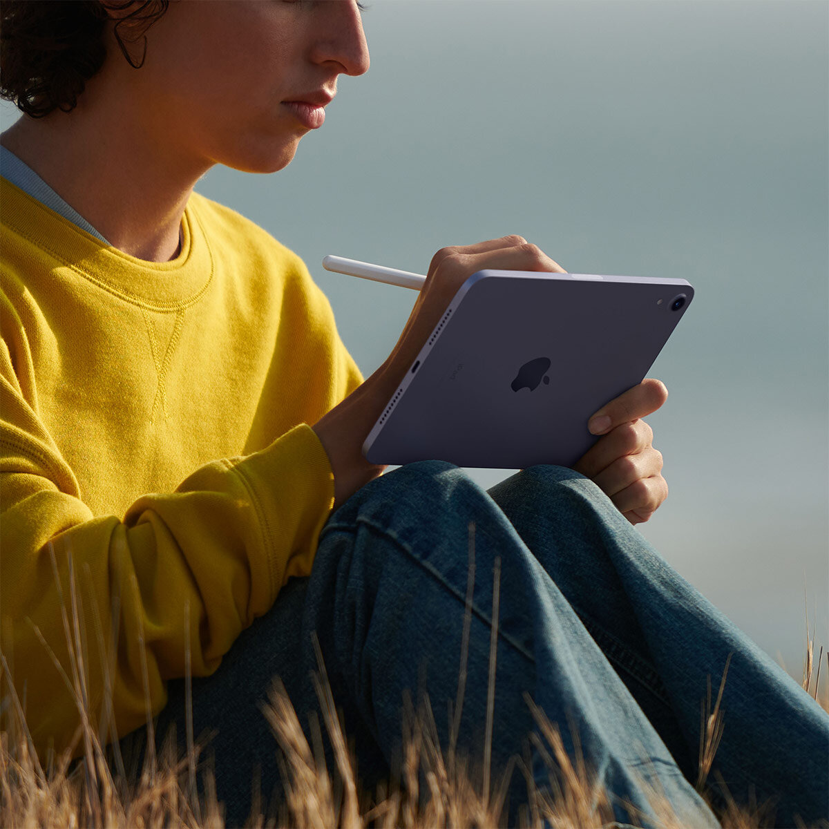 Buy Apple iPad mini 6th Gen, 8.3 Inch, WiFi, 64GB in Starlight, MK7P3B/A at costco.co.uk