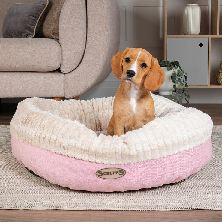 Scruffs Ellen Donut Medium Pet Bed, 55cm - Pink