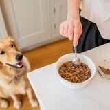 RaaW Working Dog Complete Bundle