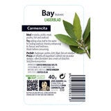 Carmencita Bay Leaves, 40g Carmencita Bay Leaves, 40g