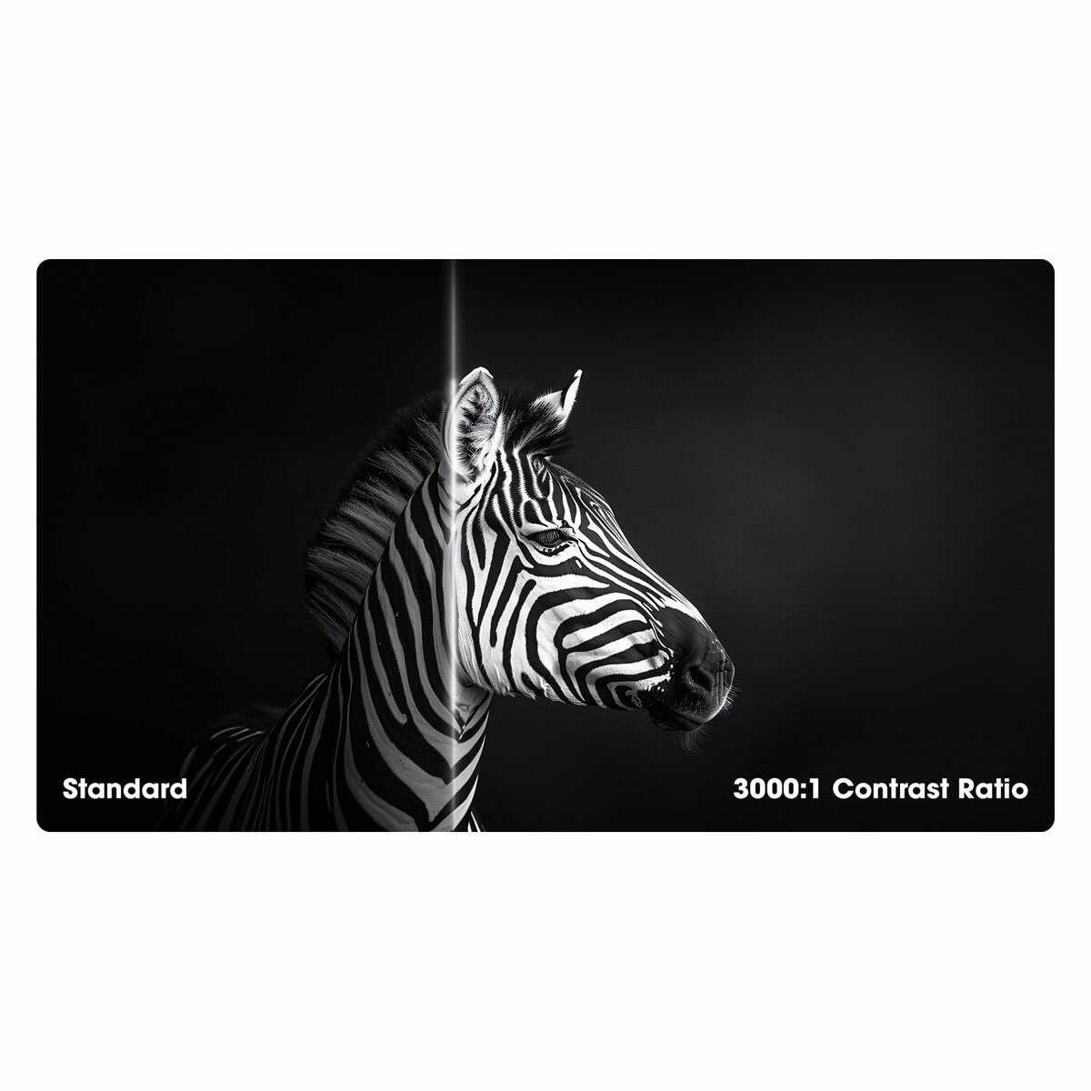 IIYAMA Prographic, 32 Inch LCD, IPS, Monitor, HB3201UHSNP-B1