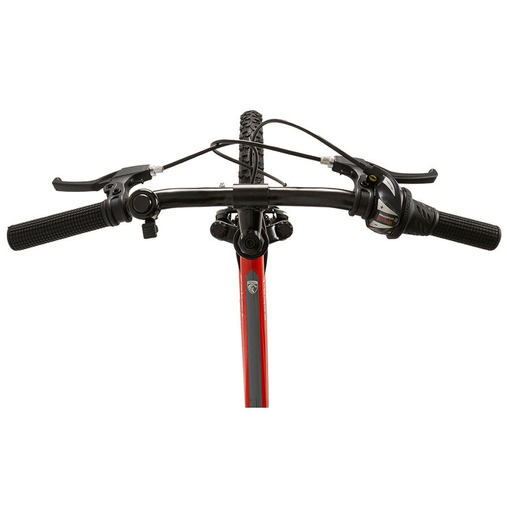 Falcon Cobalt Junior Mountain Bike 20" Wheel (11" Frame)