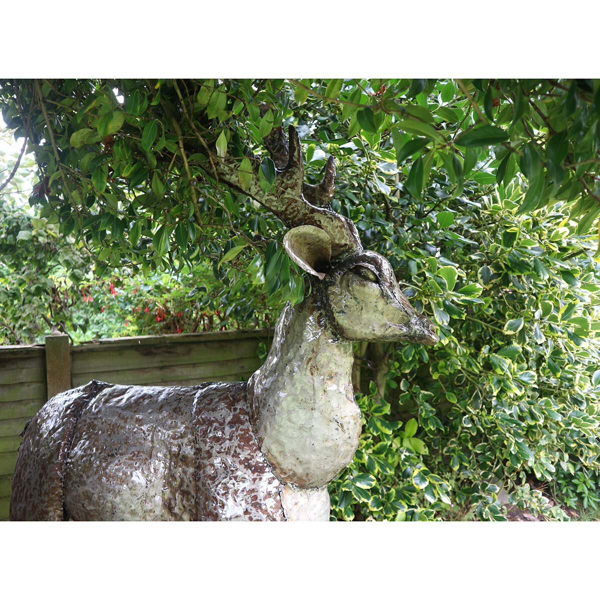 Lifesize Stag