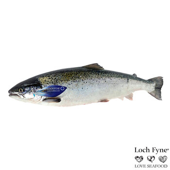 Loch Fyne Fresh Whole Salmon, 3kg