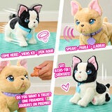 furReal The Train & Play Frenchie Assortment - 4+ Years furReal The Train & Play Frenchie Assortment - 4+ Years