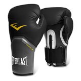 Everlast Boxing Glove and Jab Set