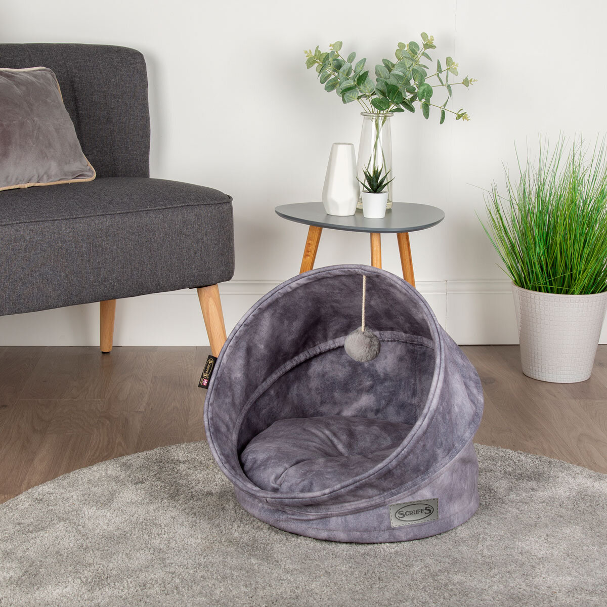 Cat Bed on a Carpet
