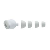 Beats Solo Buds True Wireless Earbuds in Storm Grey, MUVY3ZM/A