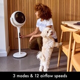 Lifestyle image of  the fan with 3 modes and 12 airflow speeds