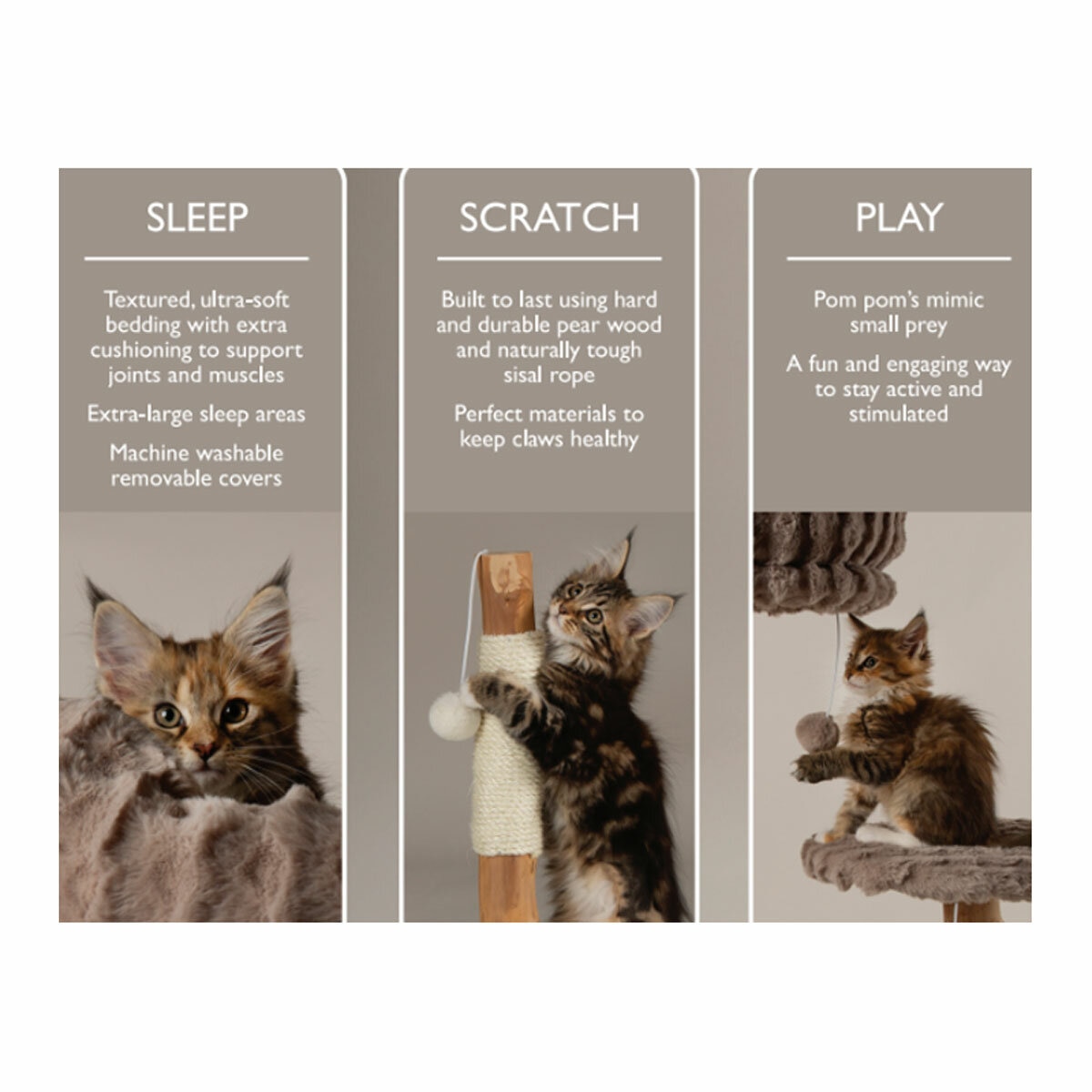 Sleep, Scratch & Play Sleep, Scratch & Play