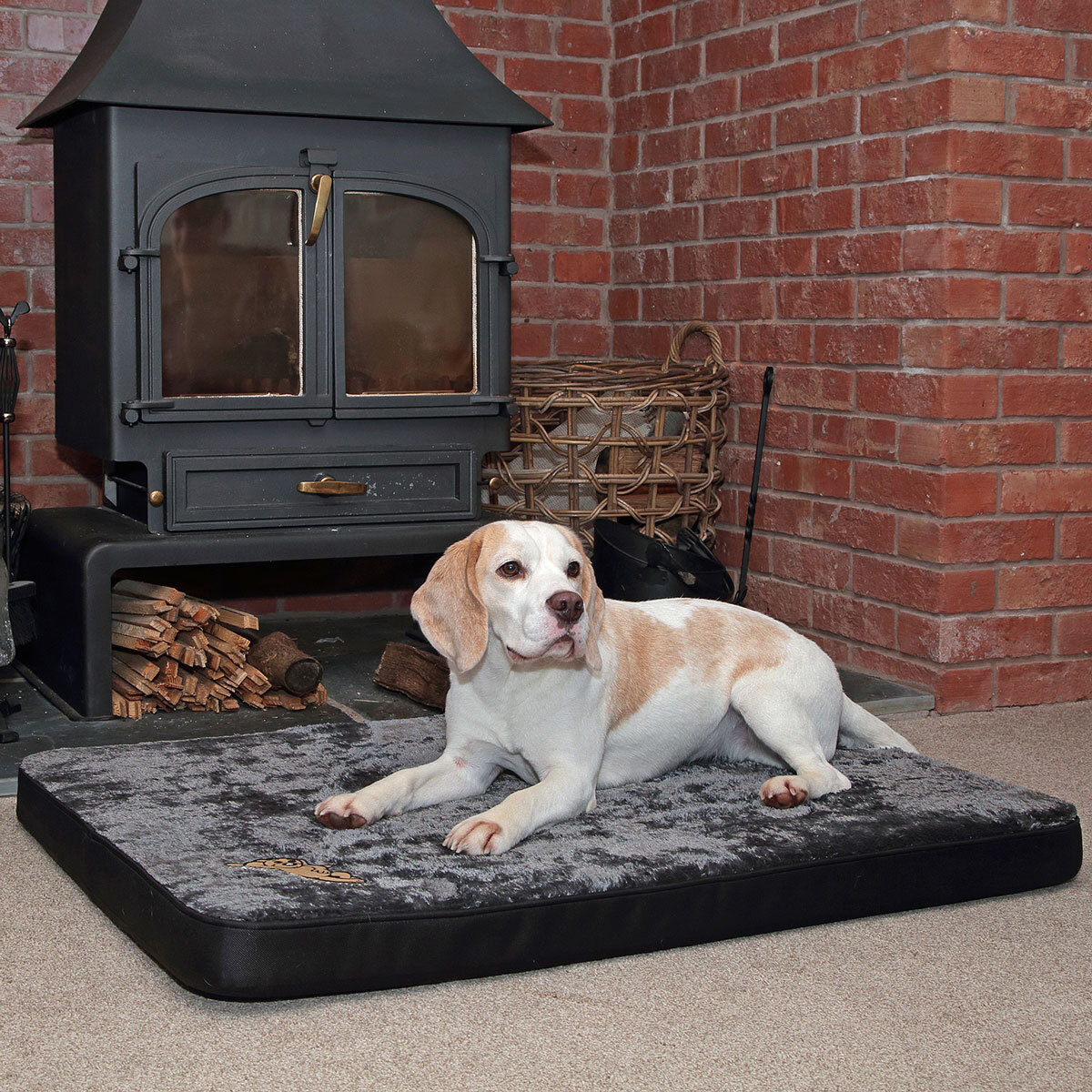 Snoozzzeee Dog Deluxe Reversible Pet Mat 28" x 39" in Black