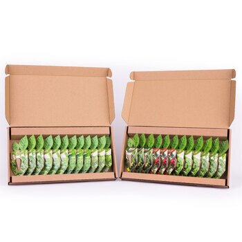 Seedcell Grow your Own Herb Garden and Salad Patch, 24 Pods