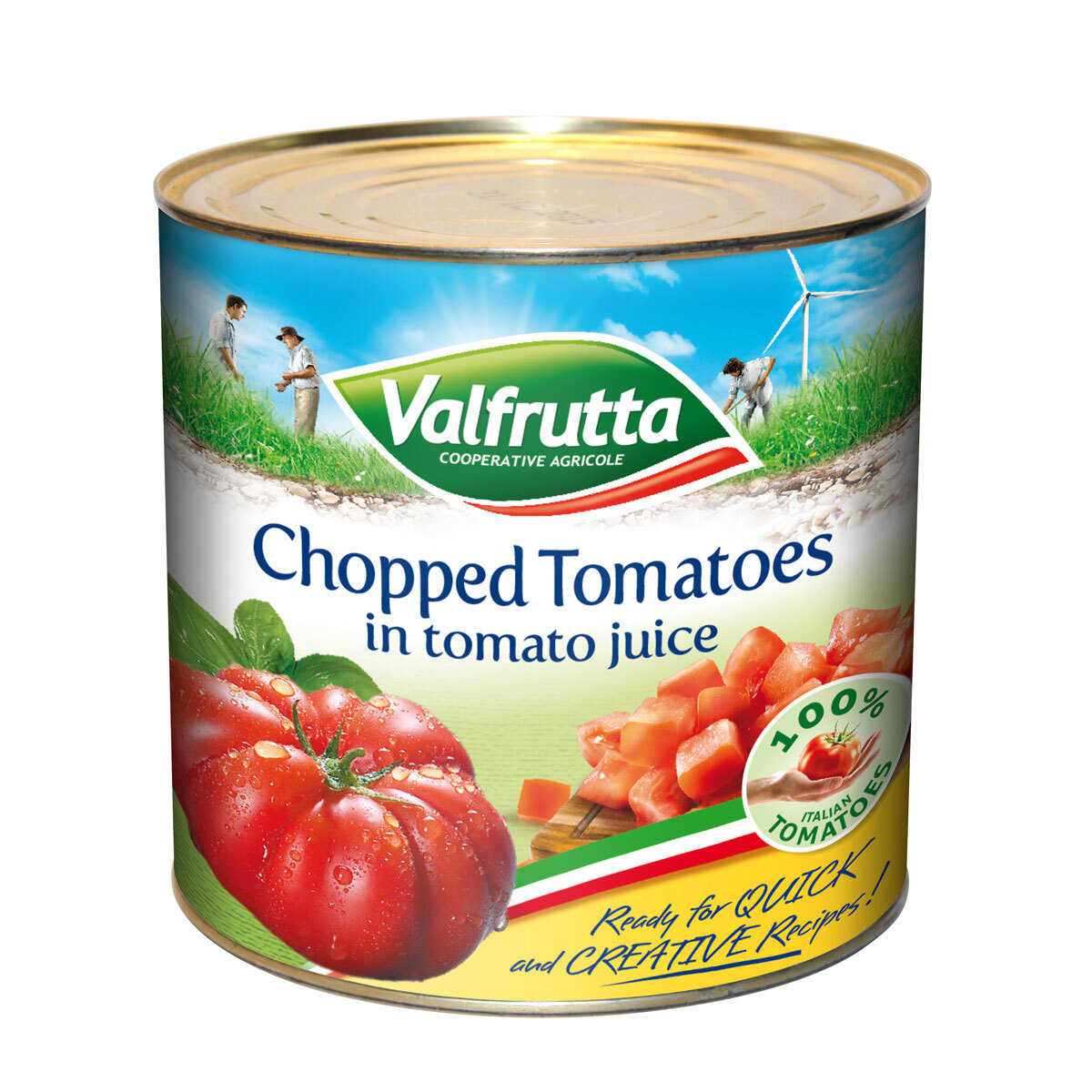 Cut out image of tinned tomato on whte background