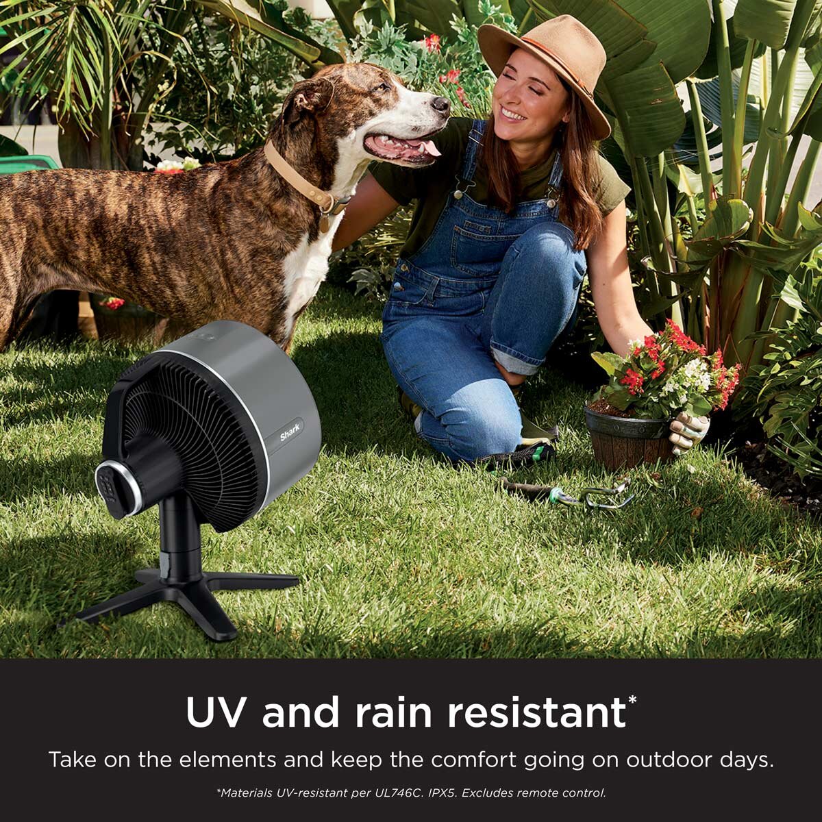 Shark FlexBreeze TableMate Fan in Charcoal, Lifestyle Image
