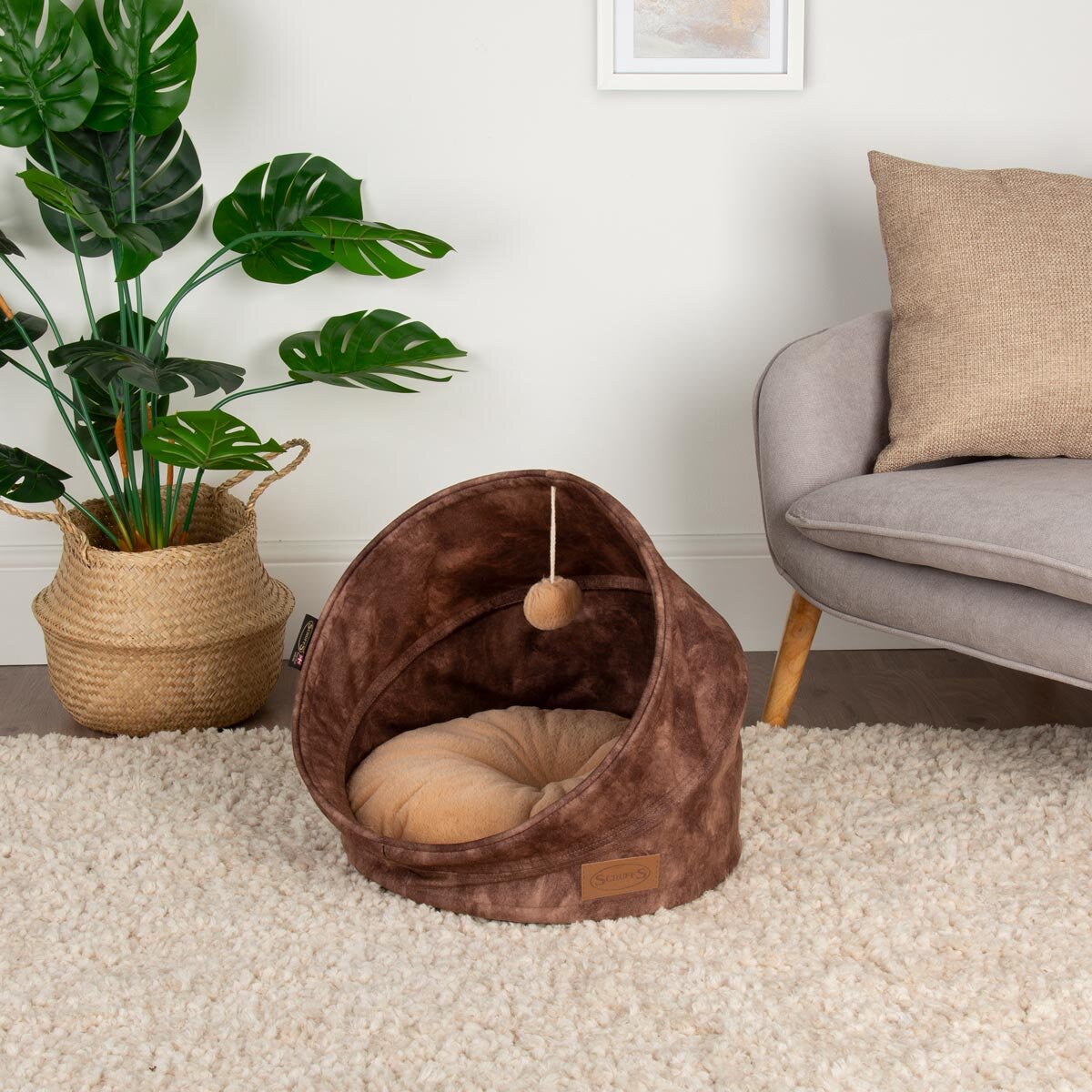 Cat Bed on Carpet