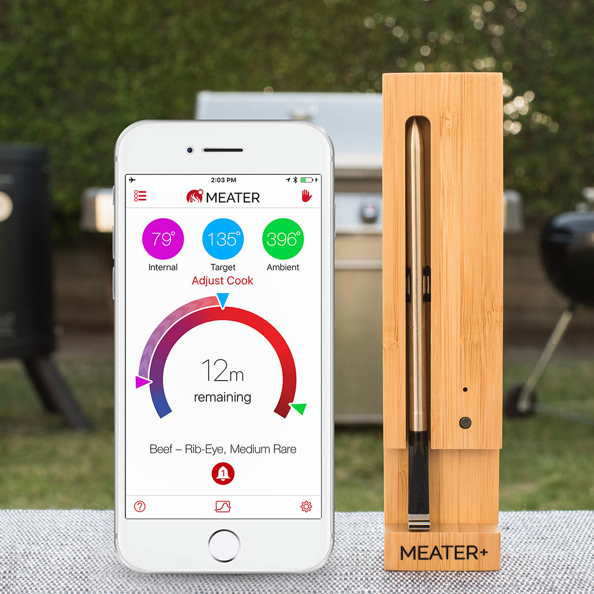 Meater Thermometer with app on phone against BBQ background