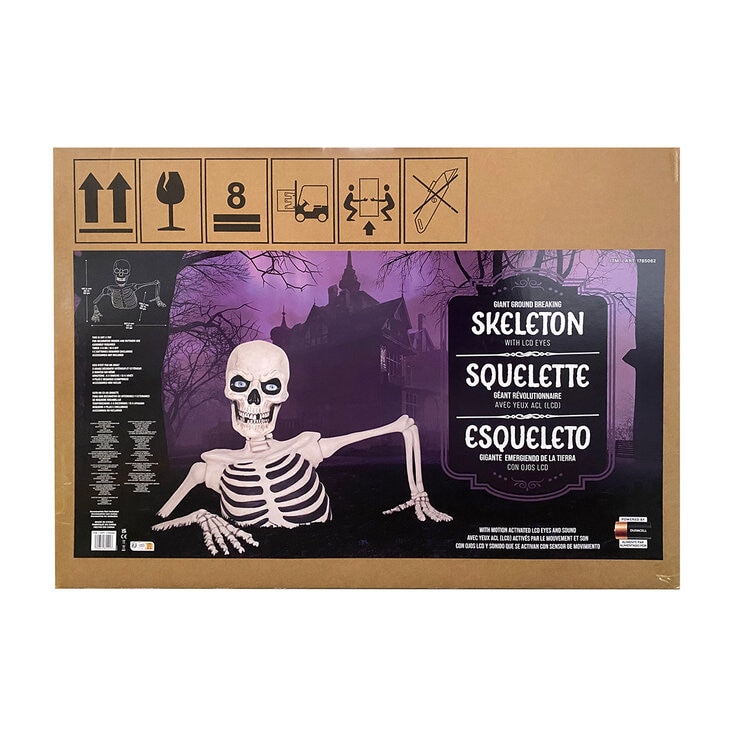 Giant Skeleton box Image