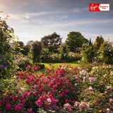 Virgin Experience Days Visit To A RHS Garden For Two Virgin Experience Days Visit To A RHS Garden For Two