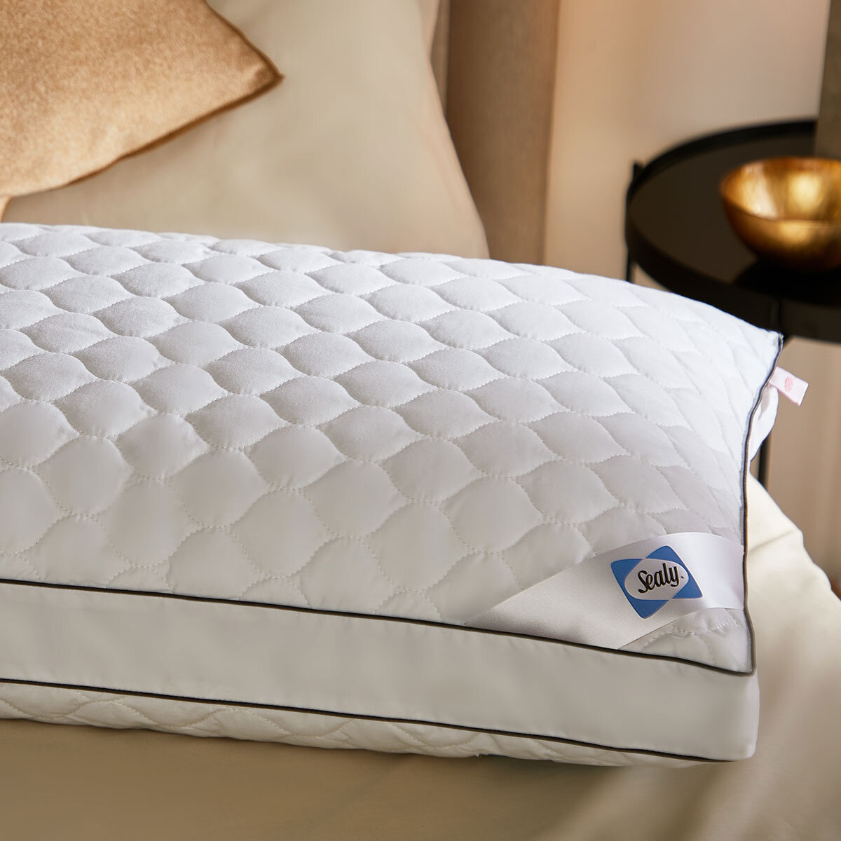 Sealy 100% Cotton Firm Support Pillow - White - Jumbo