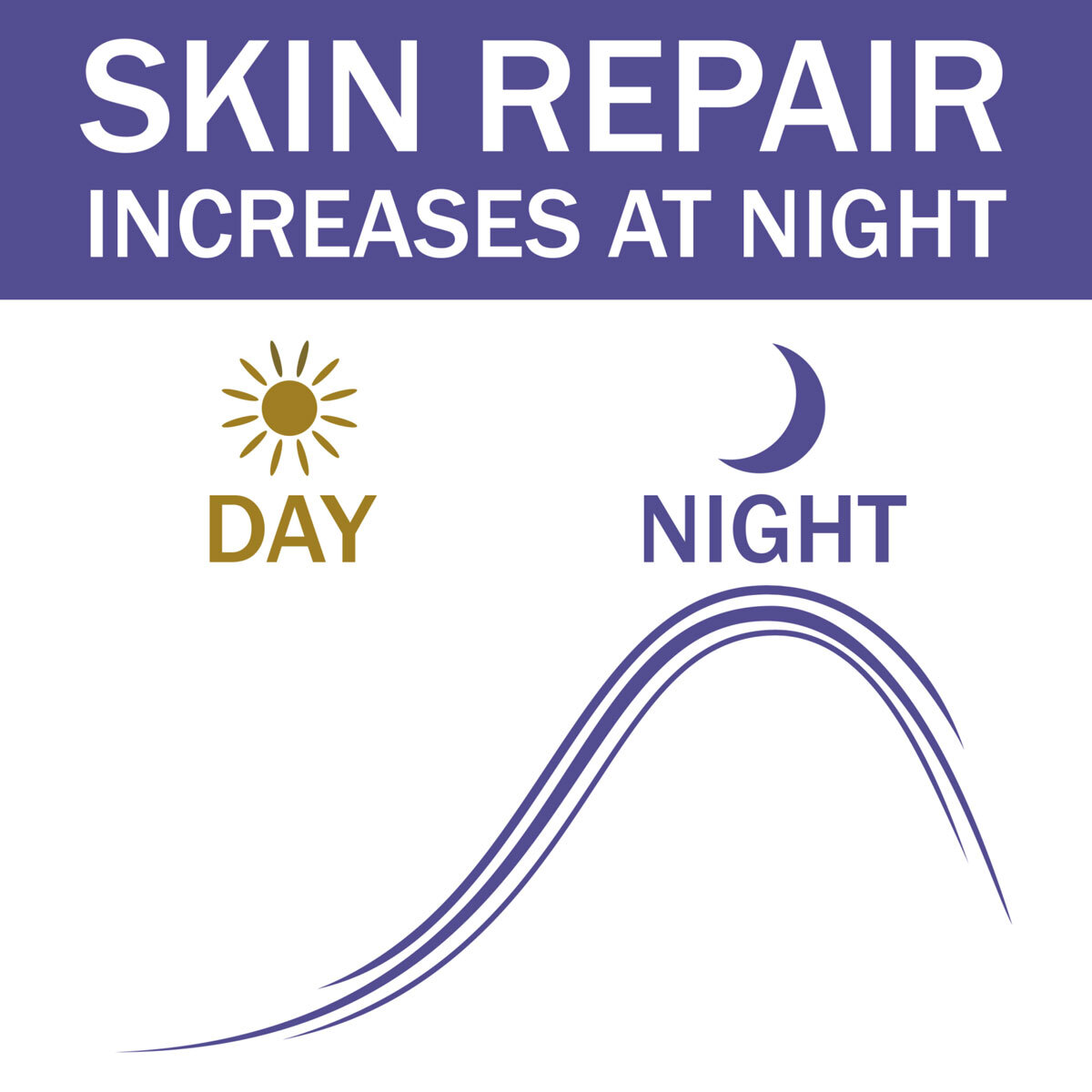 Skin Repair Increases at Night