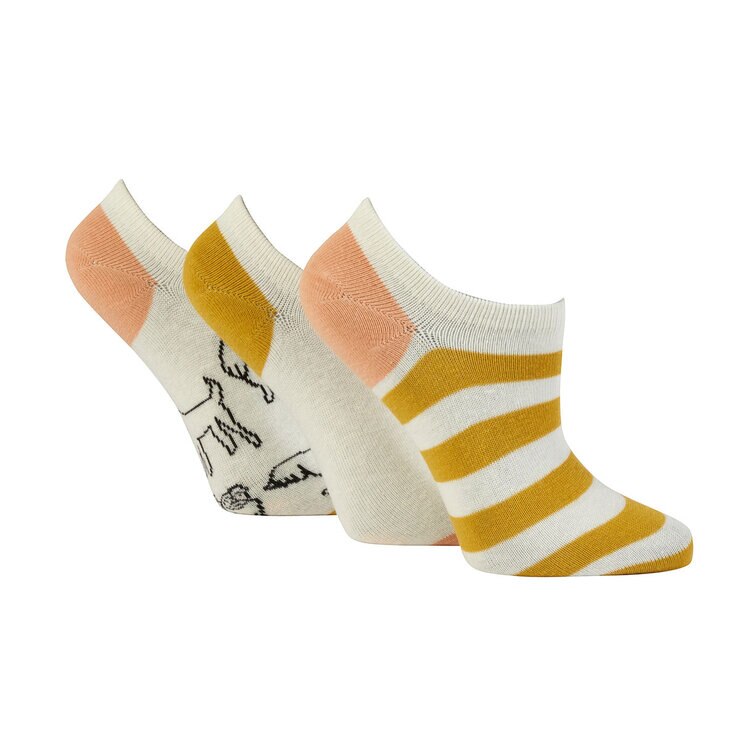 Caroline Gardner Ladies Trainer Sock 6 Pack in White