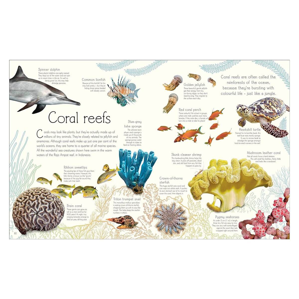 Aquatic 2